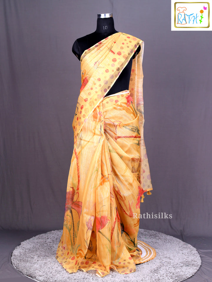 Sheer Tissue/Organza Saree