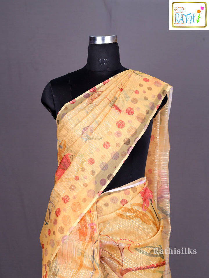 Sheer Tissue/Organza Saree