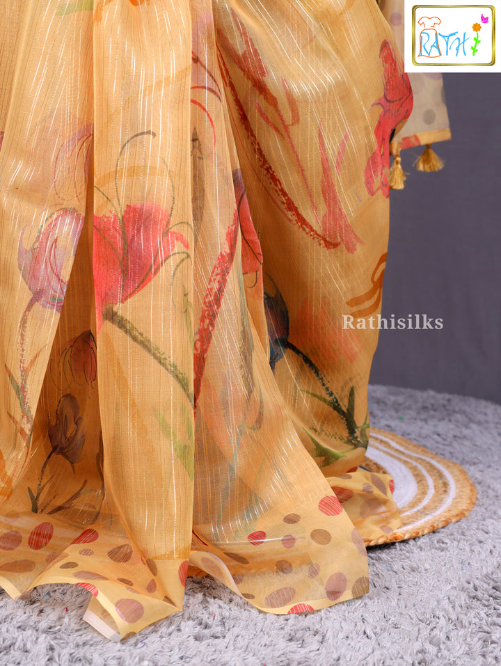 Sheer Tissue/Organza Saree