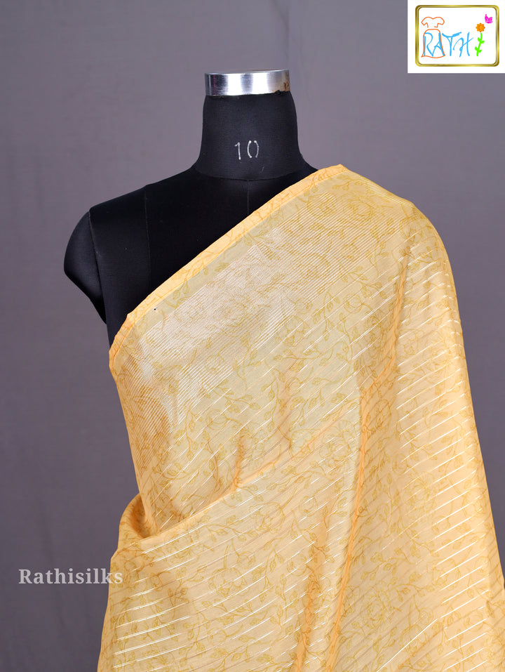Sheer Tissue/Organza Saree