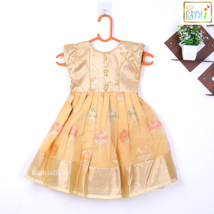 Elegant Golden Frock