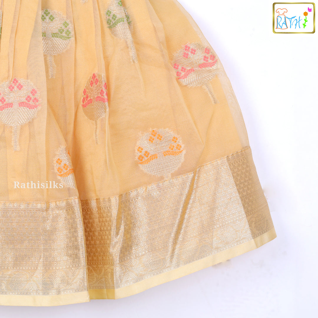Elegant Golden Frock