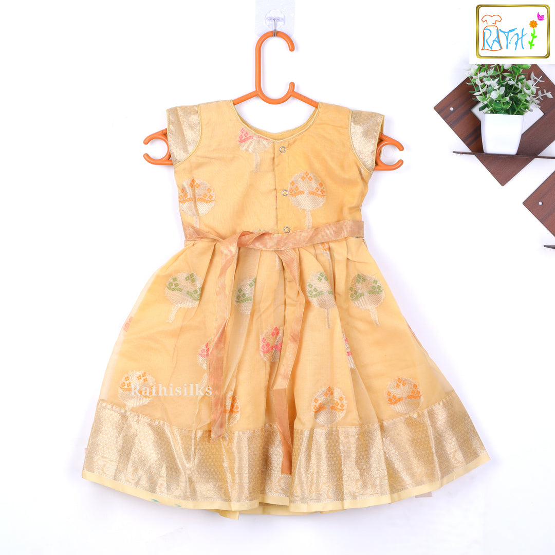 Elegant Golden Frock