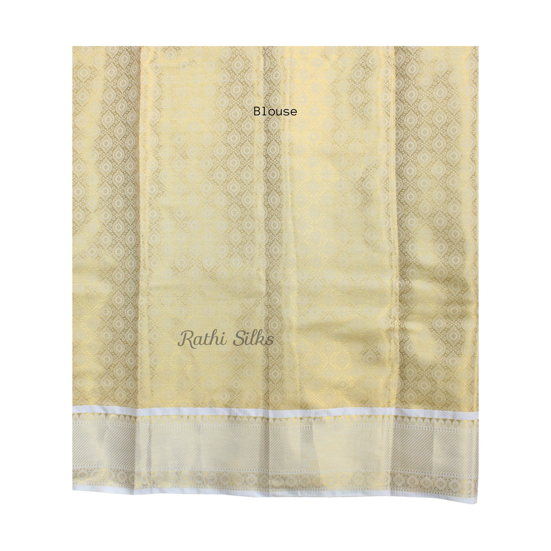 Banarasi fancy tissue  saree